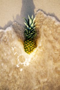 Pineapple In Ocean Waves
