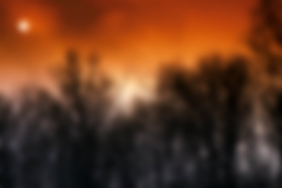 Blurred Sunset Picture With Trees