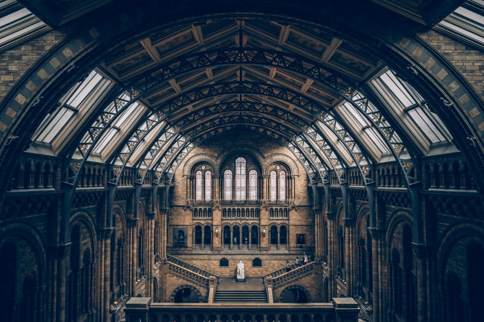 Vaulted Ceiling Of Museum In London England