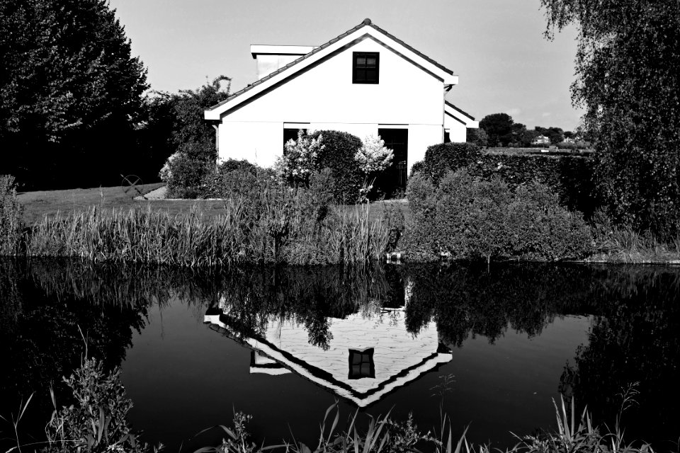 House Reflecting In Water