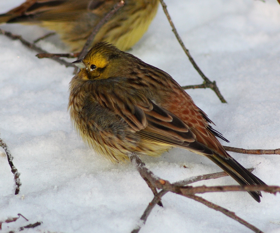 Outside winter snow
