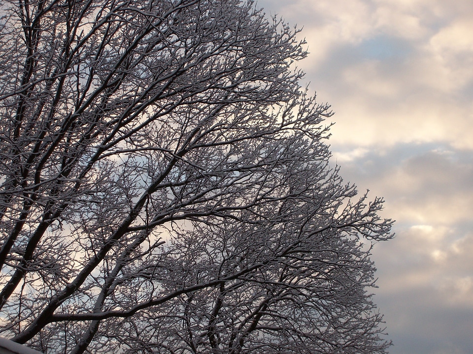 Winter season cold