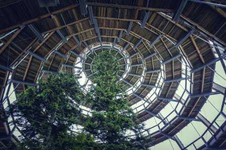 Brown Wooden Spiral Dome Building With Green Tree photo