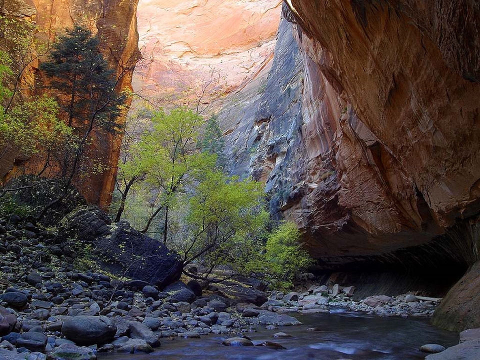 Canyon nature landscape