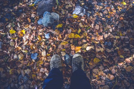 Person In Black Pants And Gray Low Top Shoes Stand On Dried Leaves And Rocks During Daytime photo