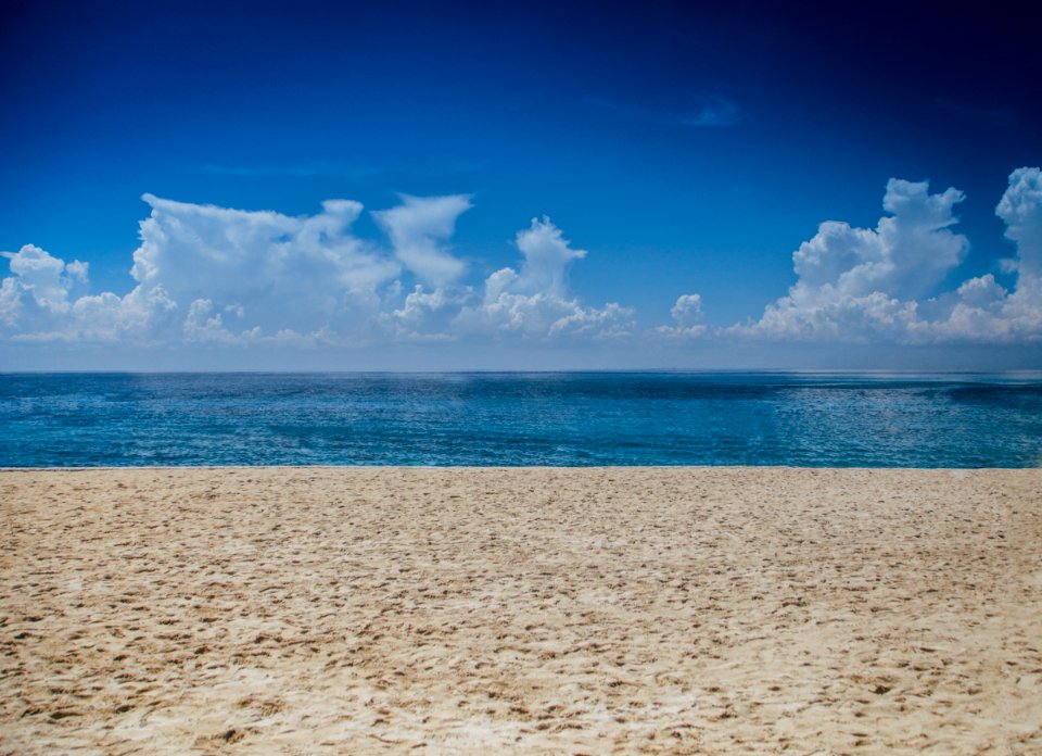 Ocean View During Daylight