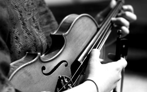Grayscale Photography Of Person Playing Violin