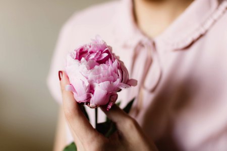 Pink Petaled Flower