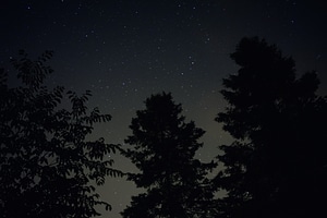 Landscape galaxy trees photo