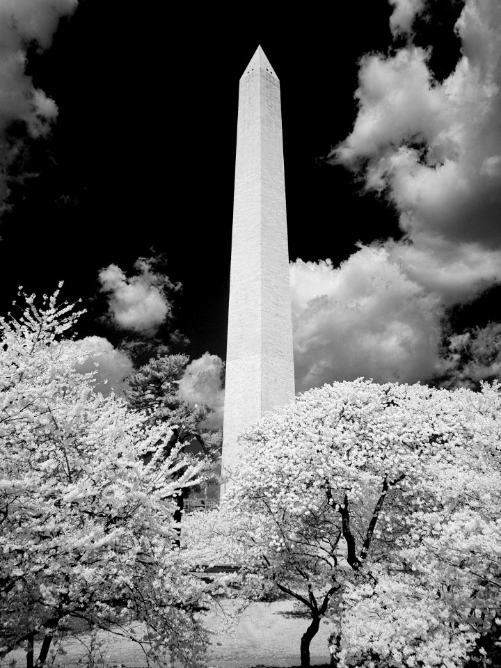 Washington Monument, Washington D.C. Original image from Carol M. Highsmith’s America, Library of Congress collection. Digitally enhanced by rawpixel