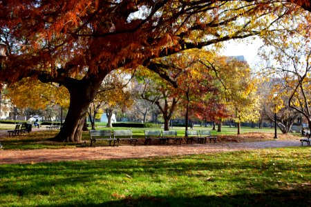 LaFayette Park, located directly north of the White House on H Street between 15th and 17th Streets, N.W., Washington, D.C. Original image from Carol M. Highsmith’s America, Library of Congress collection.