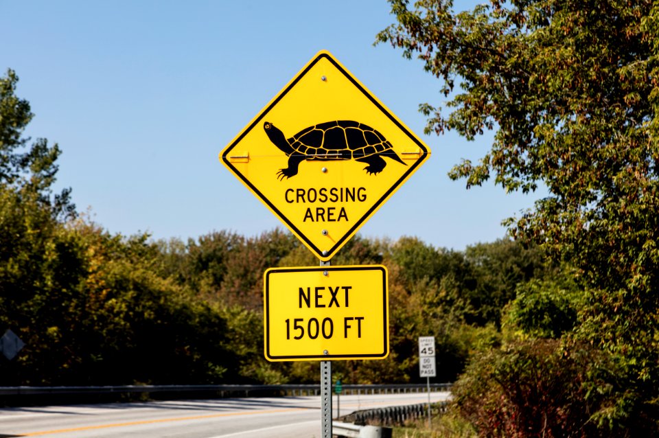 Animal-crossing sign in South Hero, Vermont. Original image from Carol M. Highsmith’s America, Library of Congress collection.