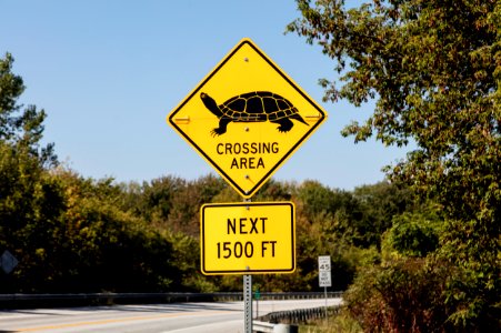 Animal-crossing sign in South Hero, Vermont. Original image from Carol M. Highsmith’s America, Library of Congress collection.