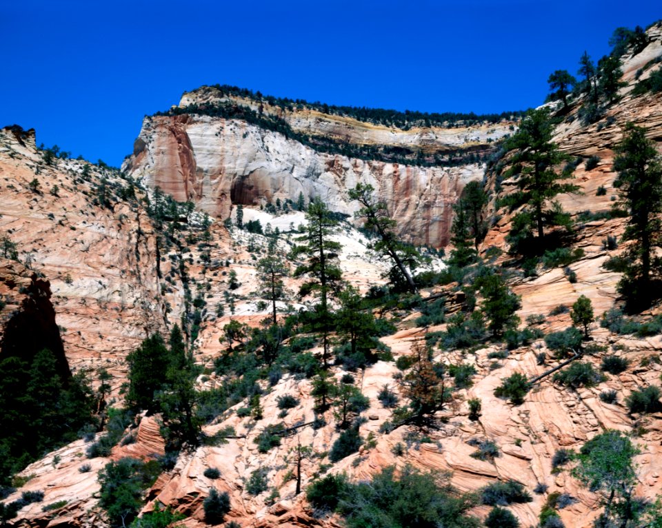 Utah's Zion National Park. Original image from Carol M. Highsmith’s America, Library of Congress collection.