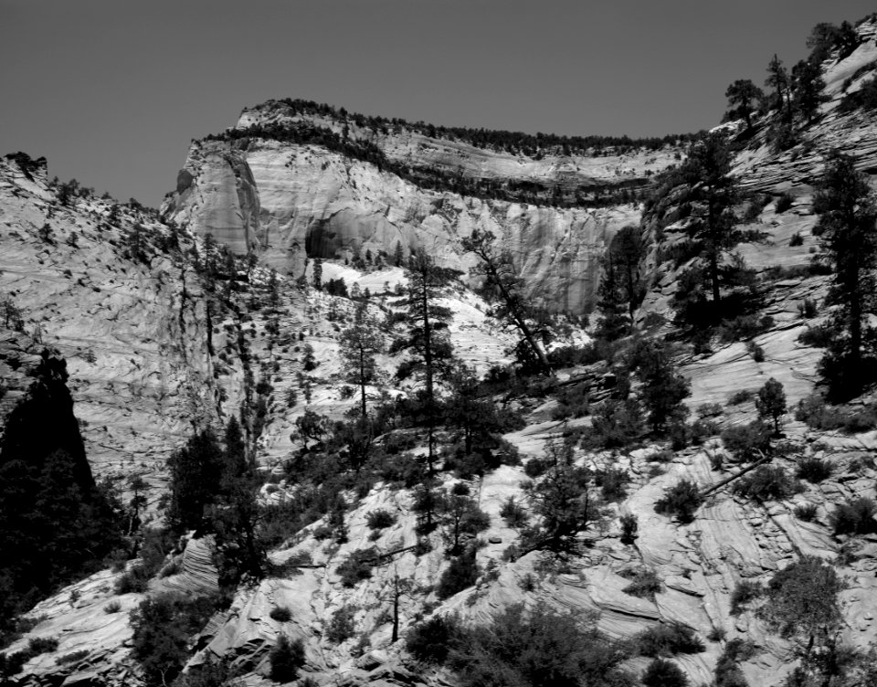 Utah's Zion National Park. Original image from Carol M. Highsmith’s America, Library of Congress collection.