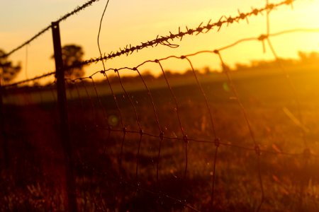 Black Chain Link Metal Fence In Grass Field photo