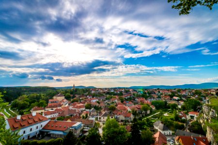 Town Near Forest