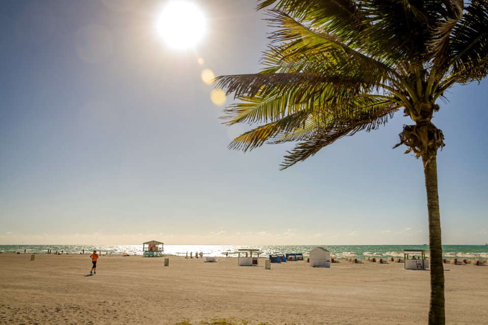 People Lying On The Seashore During Daytime