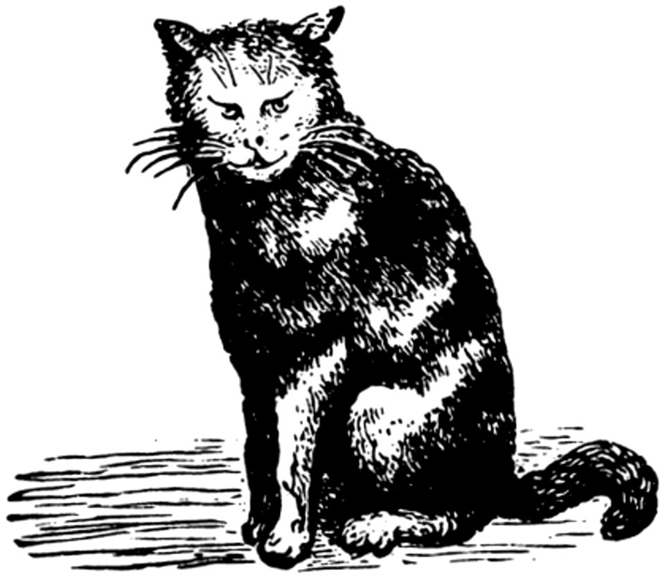 Chat-008
