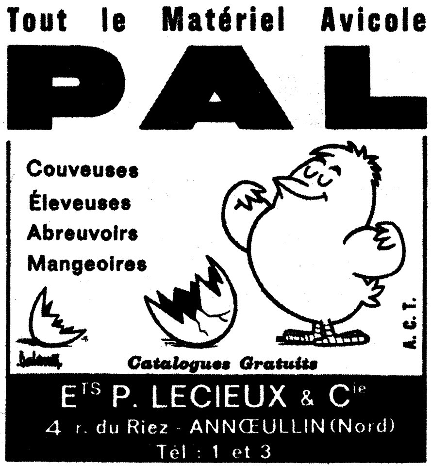 Pal