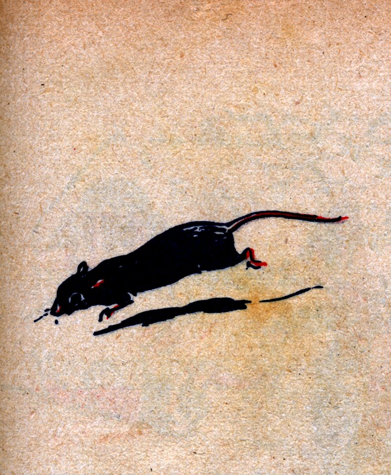 Souris-1