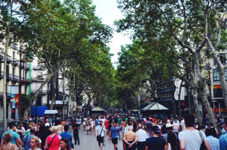 People Walking In The Street Near Green Leaved Trees Under White Cloudy Sky During Daytime photo