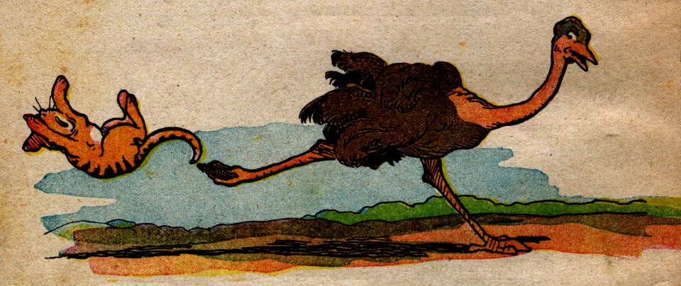 Contes Du Pelican Rouge-3
