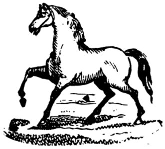 Cheval-066