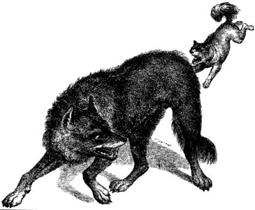 Loup-002-PL