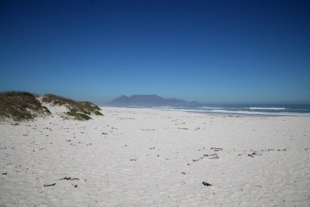 White Sand And Green Grass Near Beach photo