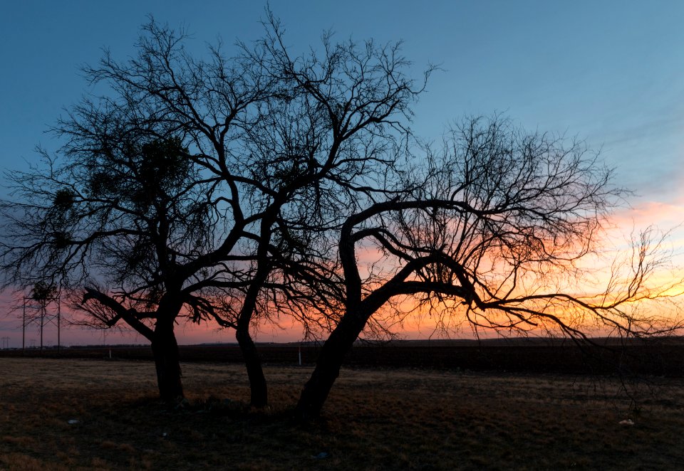 Sunset scene in rural Tom Green County, Texas, northeast of San Angelo. Original image from Carol M. Highsmith’s America, Library of Congress collection.