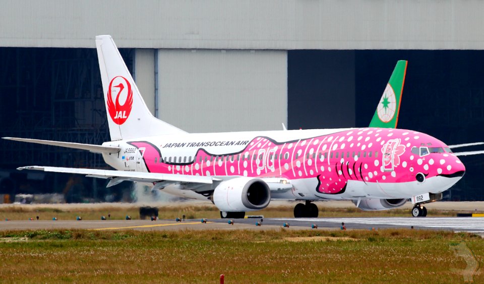 Airliner Decorated As A Pink Fish