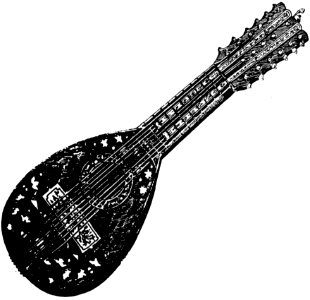 Musical Instrument Guitar Accessory Musical Instrument Accessory String Instrument Accessory