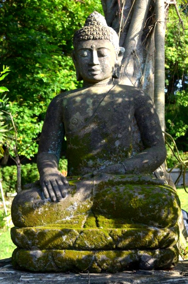 Plant Nature Statue Sculpture