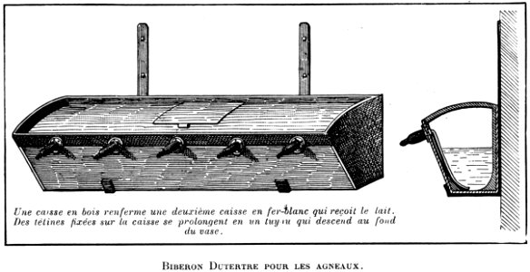 Biberon-1-OA