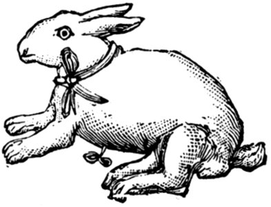 Animaux-006-TD