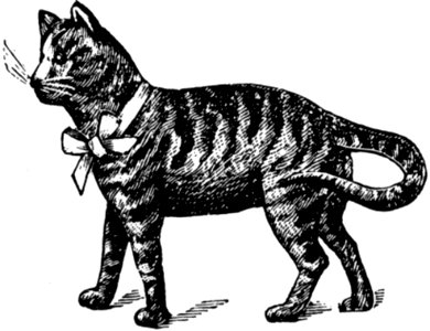 Animaux-014-TD