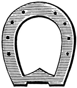 Fer-007