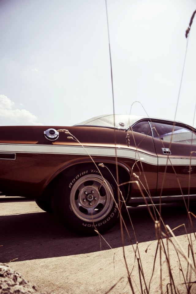 Black Muscle Car Near Brown Grass During Daytime