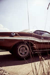 Black Muscle Car Near Brown Grass During Daytime photo
