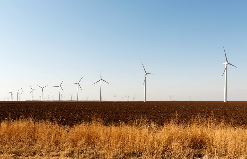 A wind-turbine farm near the city of Snyder in Scurry County, Texas. Original image from Carol M. Highsmith’s America, Library of Congress collection.