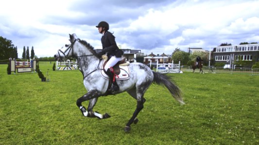 Woman Riding White Black Horse On Green Lawn During Daytime