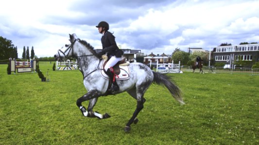 Woman Riding White Black Horse On Green Lawn During Daytime photo