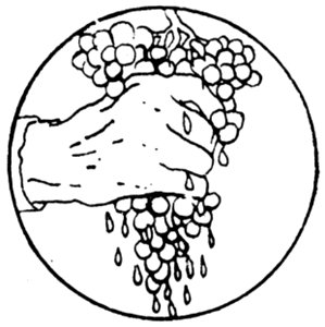 Raisin-001