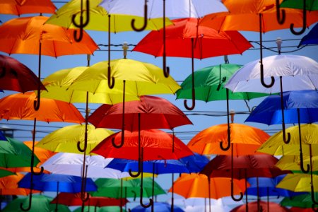 Colorful Umbrellas photo