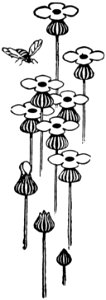 Ornement-105