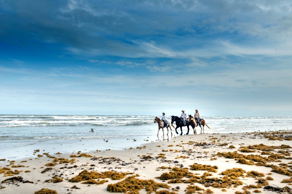 Brennan Wells, on the black horse, Kayla McShane, on the paint; and Macy Milbert, on the Appaloosa, ride along Padre Island, near Corpus Christi, Texas. Wells owns the nearby, aptly named “Horses on the Beach” horseback-riding operation; the women are hands. Original image from Carol M. Highsmith’s America, Library of Congress collection.