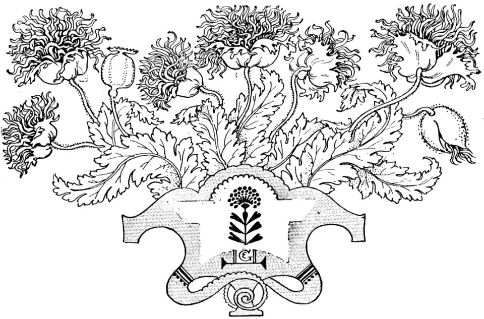 White Plant Botany Organism