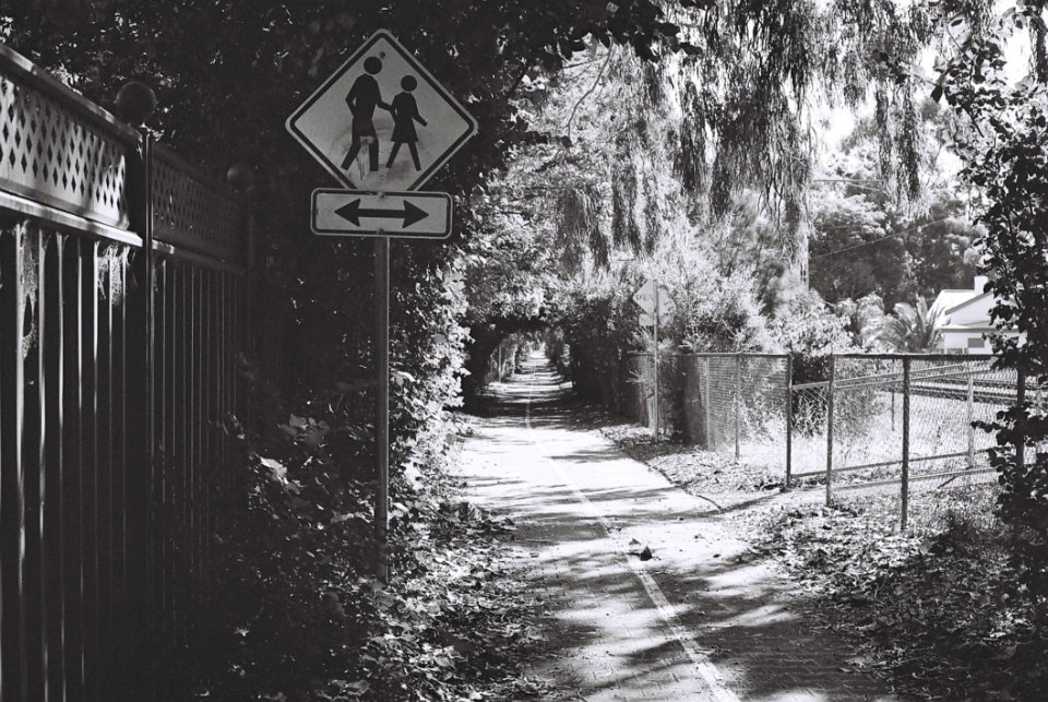 Bike Lane And Crosswalk