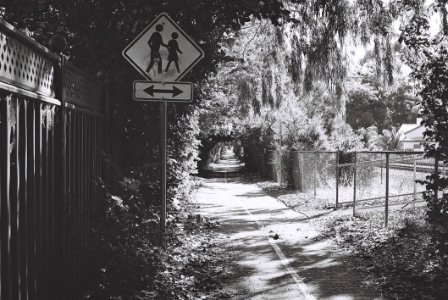 Bike Lane And Crosswalk photo